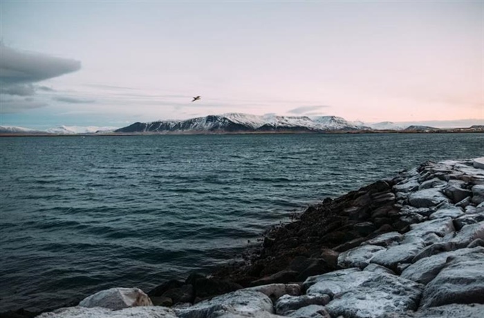 Reykjavik and Iceland's Golden Circle: Gateway to Extraordinary Landscapes