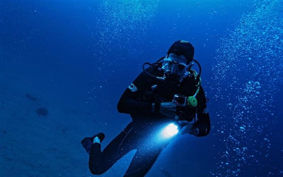 Dive Watches: From Professional Tools to Everyday Icons
