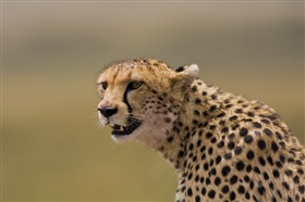 2301