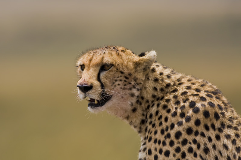 2301